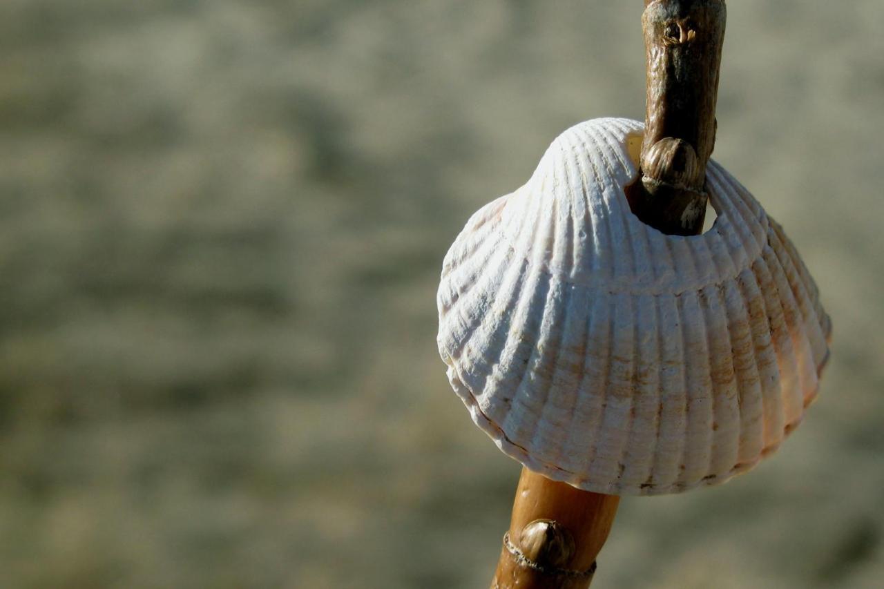 Haus Am Meer Scharbeutz Dış mekan fotoğraf